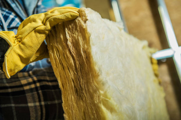 Best Eco-Friendly Insulation in Cambridge, OH